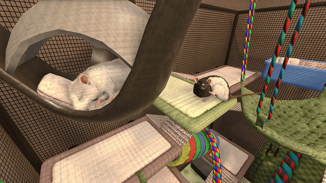 House Flipper: Pets Edition - Nintendo Switch - Video Games by Merge Games The Chelsea Gamer