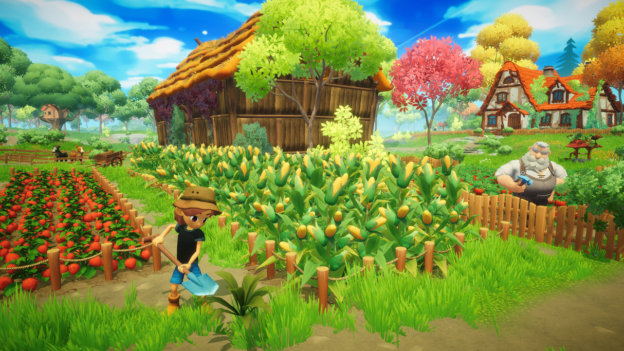 Everdream Valley - Nintendo Switch - Video Games by U&I The Chelsea Gamer