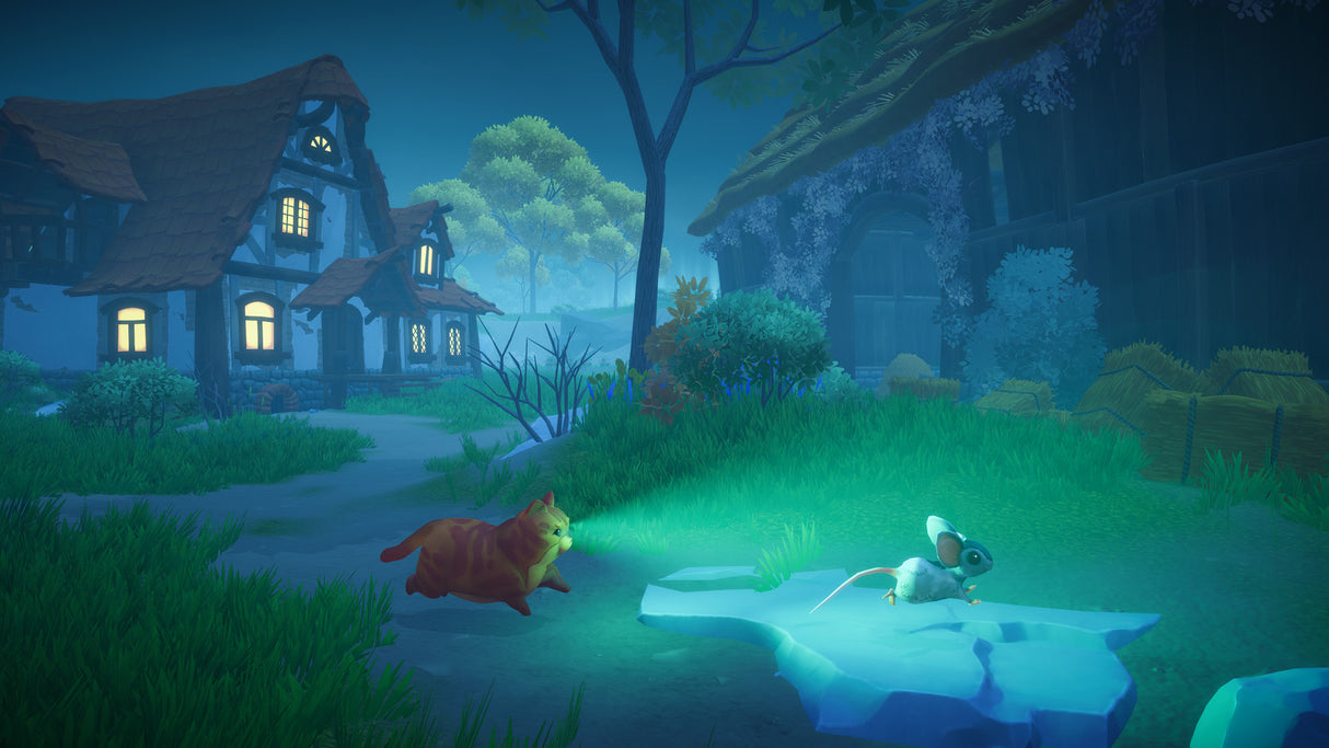 Everdream Valley - Nintendo Switch - Video Games by U&I The Chelsea Gamer