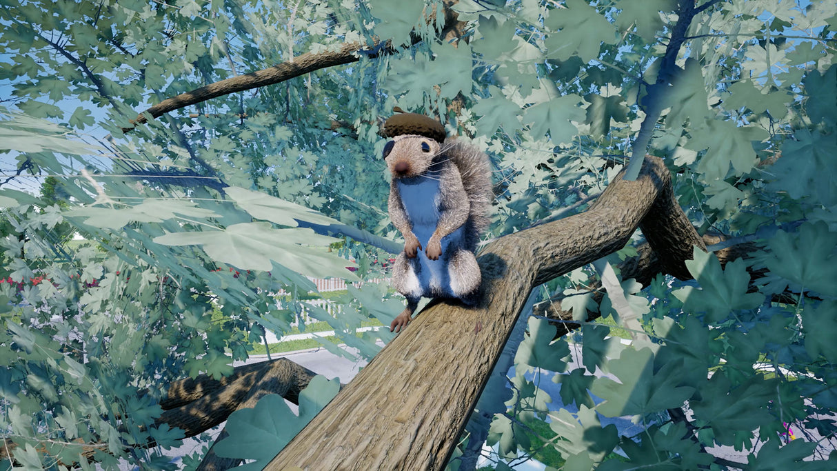 Squirrel With A Gun - PlayStation 5 - Video Games by Maximum Games Ltd (UK Stock Account) The Chelsea Gamer