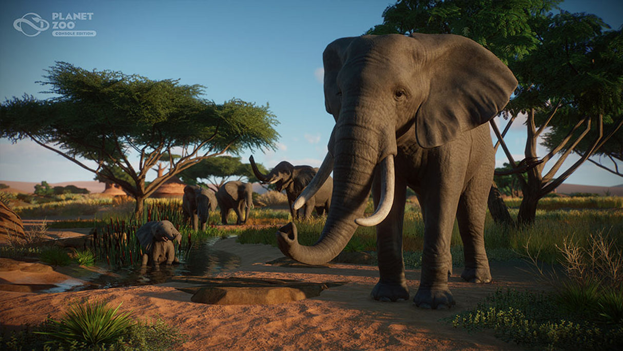 Planet Zoo: Console Edition - Xbox Series X - Video Games by Fireshine Games The Chelsea Gamer