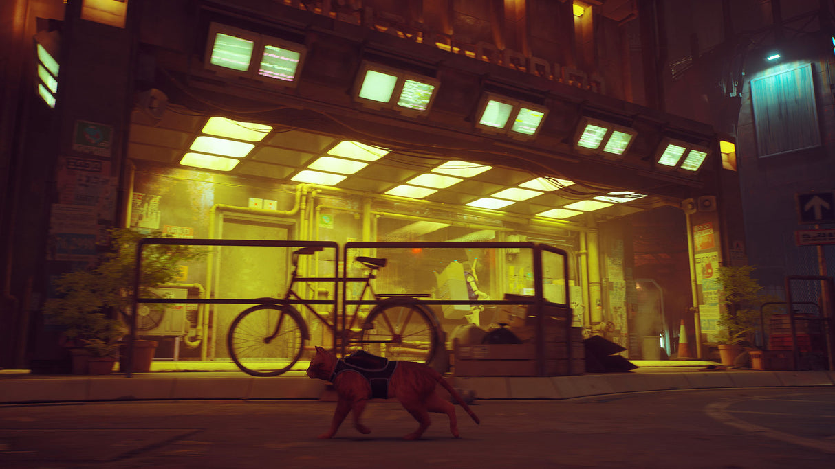 Stray - Nintendo Switch - Video Games by Skybound Games The Chelsea Gamer