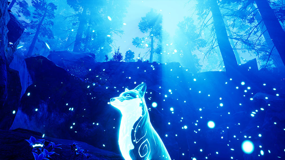 Spirit of the North - Nintendo Switch - Code In A Box - Video Games by Silver Lining Interactive The Chelsea Gamer