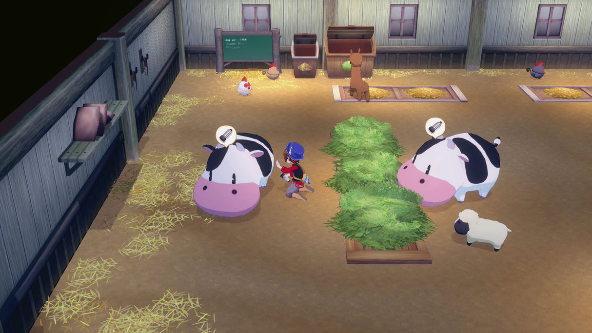 STORY OF SEASONS: Grand Bazaar - Nintendo Switch 2 - Video Games by U&I The Chelsea Gamer