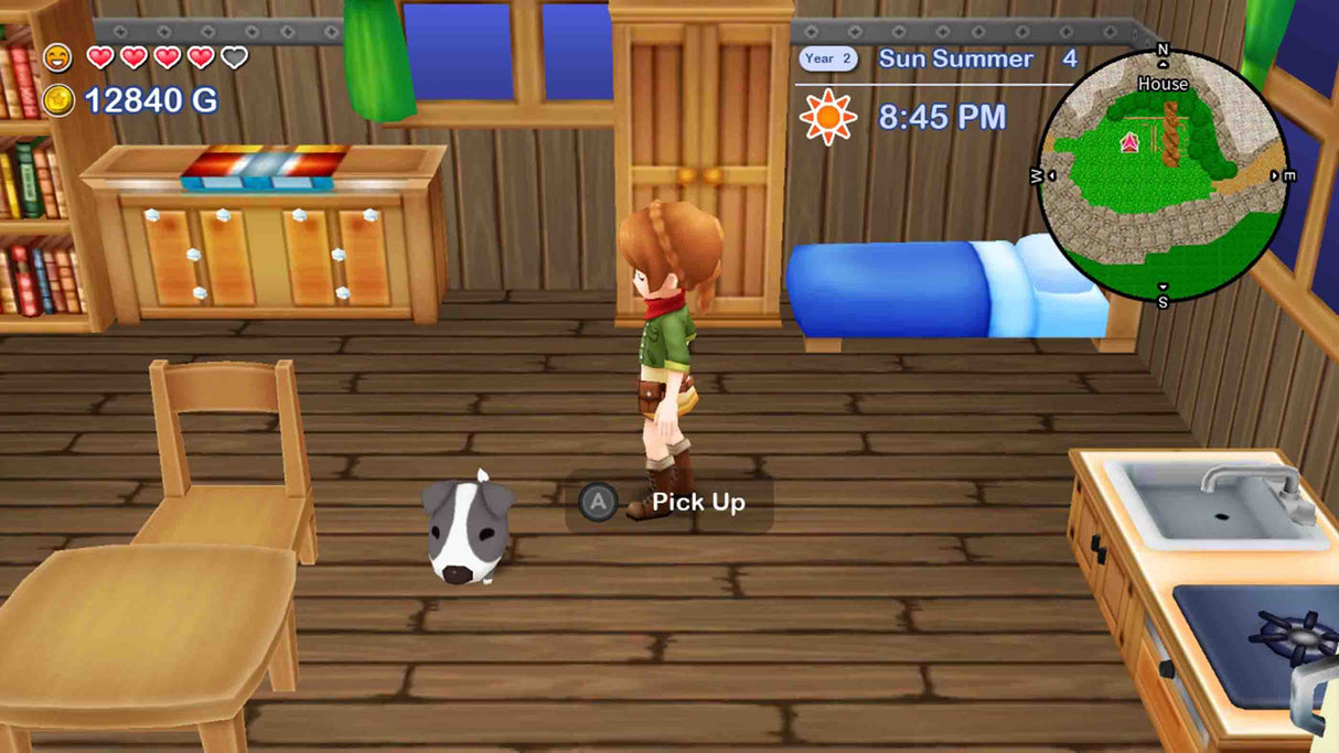 Harvest Moon: The Lost Valley & Skytree Village - Collector's Edition - Nintendo Switch - Video Games by Numskull Games The Chelsea Gamer