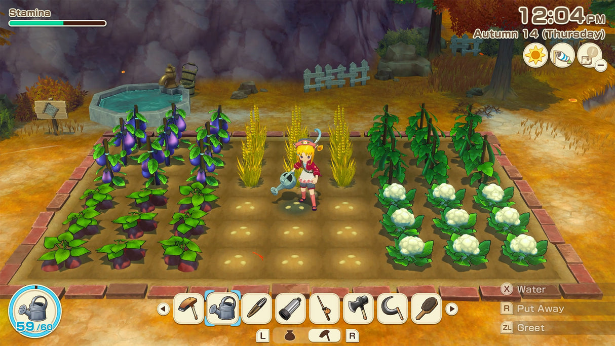 STORY OF SEASONS: Grand Bazaar - Limited Edition - Nintendo Switch 2 - Video Games by U&I The Chelsea Gamer