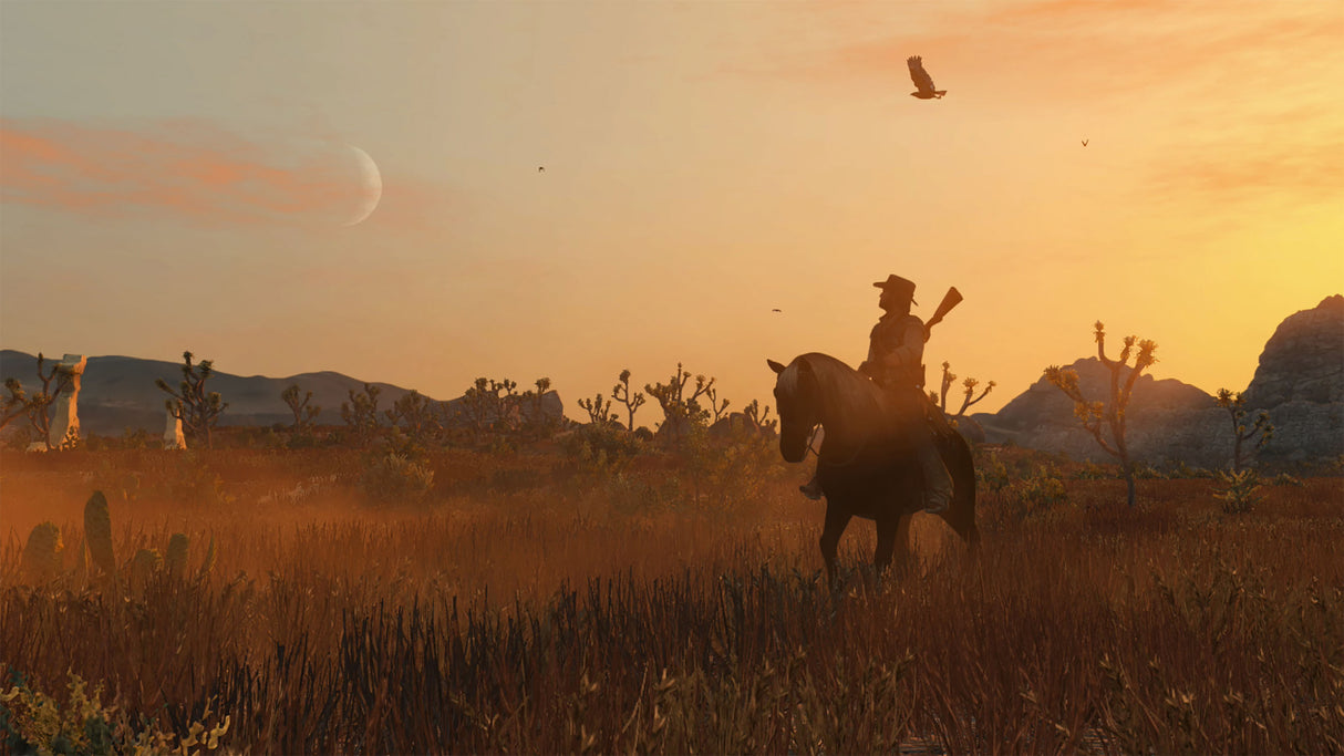 Red Dead Redemption - Nintendo Switch - Code In A Box - Video Games by Take 2 The Chelsea Gamer