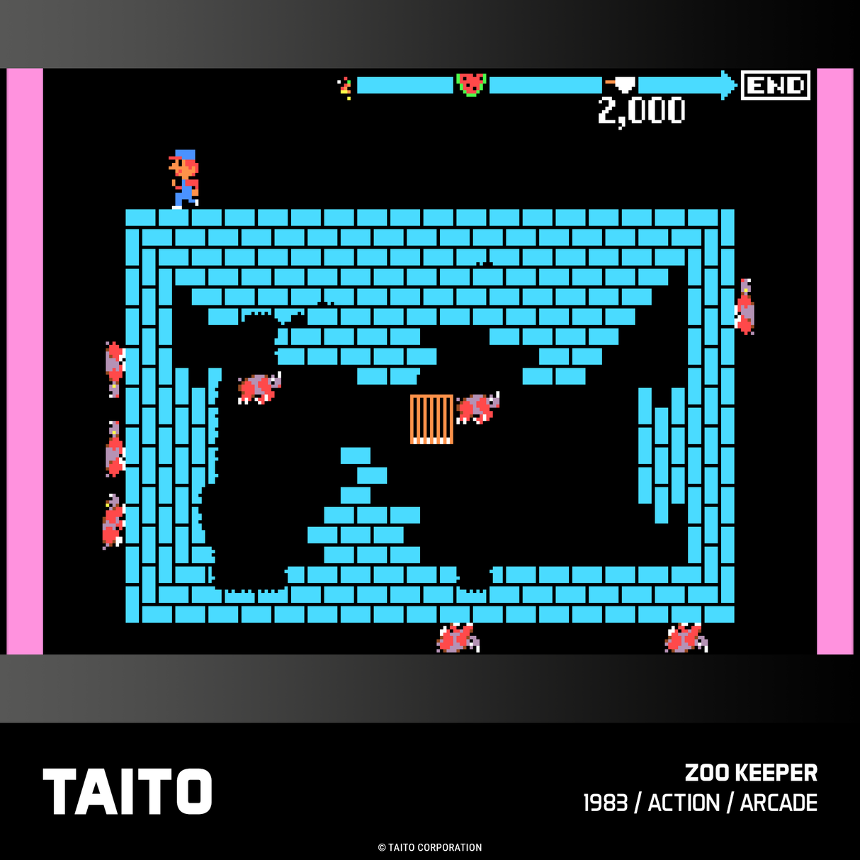 TAITO Arcade 3 - Evercade - Video Games by Blaze The Chelsea Gamer