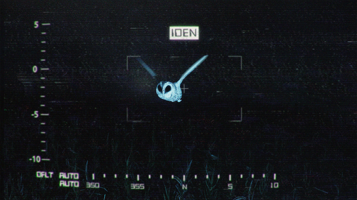 They Are Here: Alien Abduction Horror - PlayStation 5