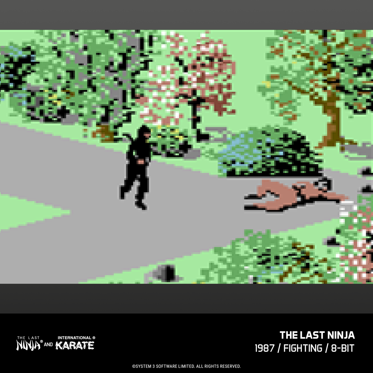 The Last Ninja and IK Collection - Evercade