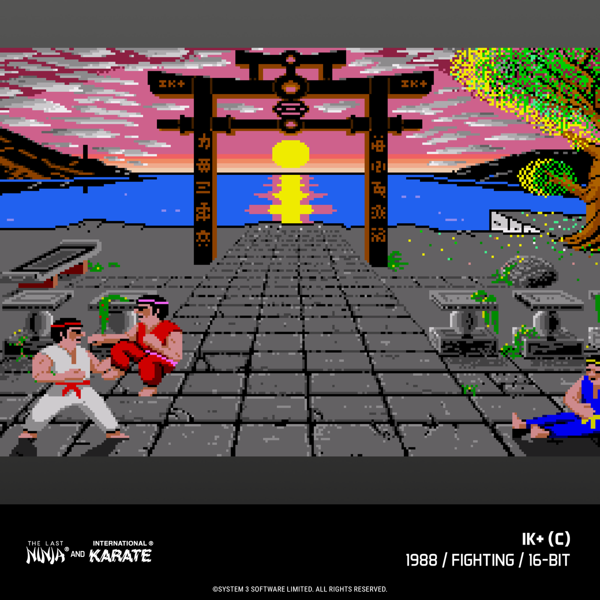 The Last Ninja and IK Collection - Evercade