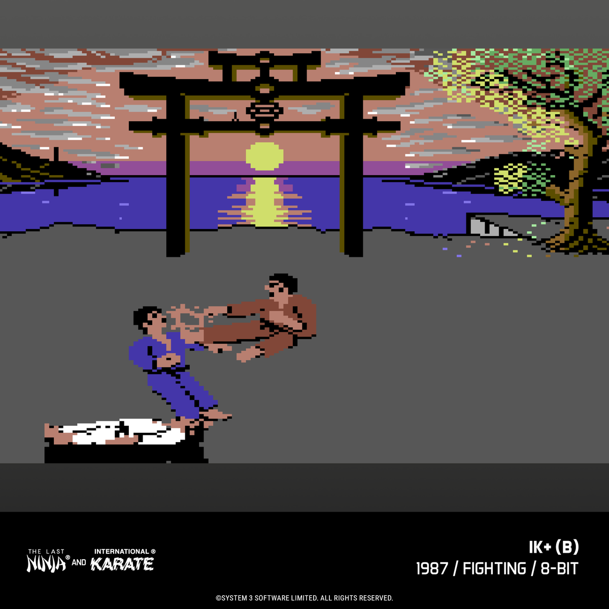 The Last Ninja and IK Collection - Evercade