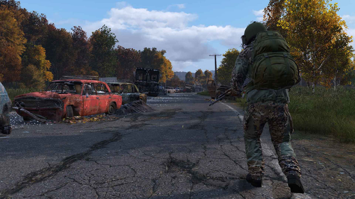 DayZ - Video Games by Sold Out The Chelsea Gamer