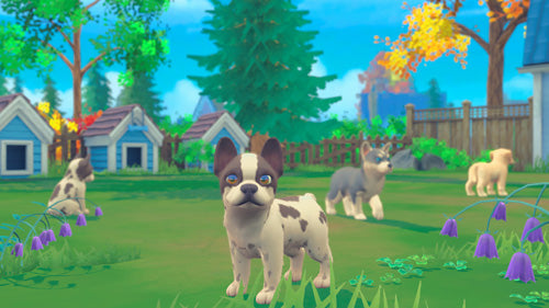 My Universe: Puppies and Kittens - Video Games by Maximum Games Ltd (UK Stock Account) The Chelsea Gamer