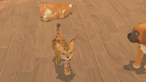 My Universe: Puppies and Kittens - Video Games by Maximum Games Ltd (UK Stock Account) The Chelsea Gamer