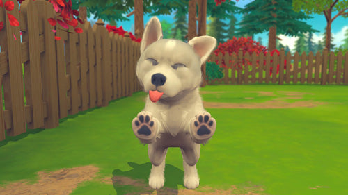 My Universe: Puppies and Kittens - Video Games by Maximum Games Ltd (UK Stock Account) The Chelsea Gamer