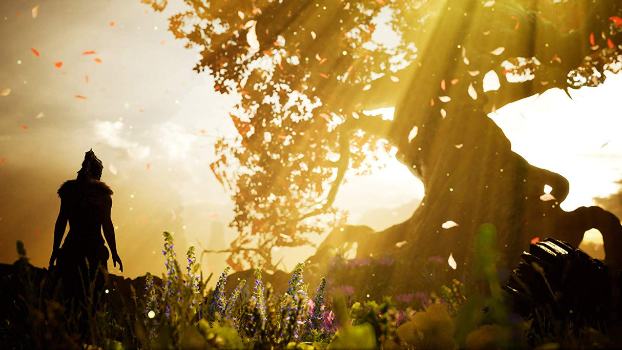 Hellblade: Senua's Sacrifice - Video Games by 505 Games The Chelsea Gamer