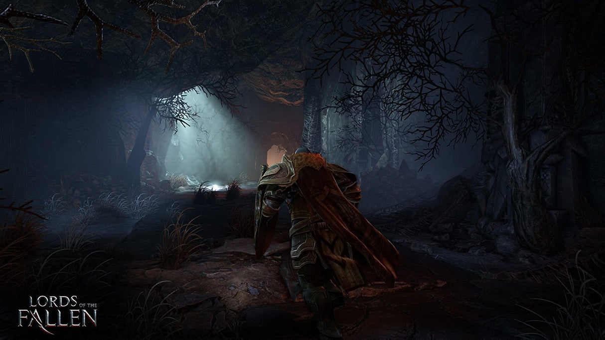 Lords of the Fallen Complete Edition - Video Games by City Interactive Games The Chelsea Gamer