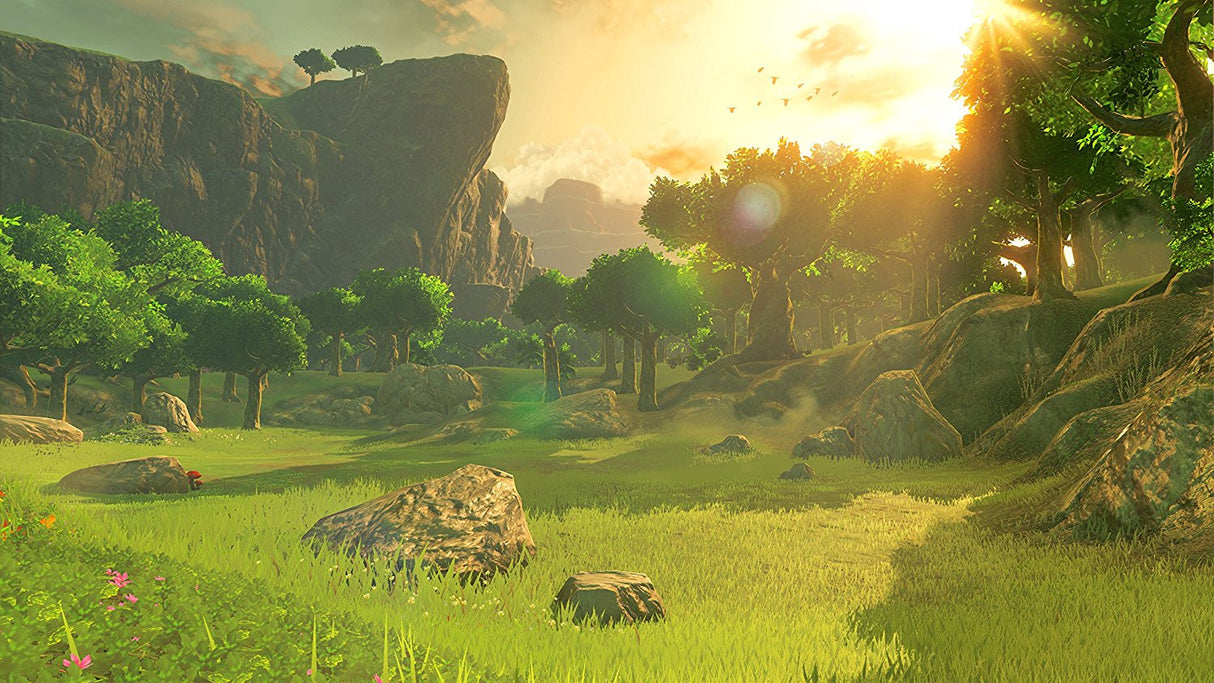 The Legend of Zelda - Breath of the Wild - Nintendo Switch - Video Games by Nintendo The Chelsea Gamer