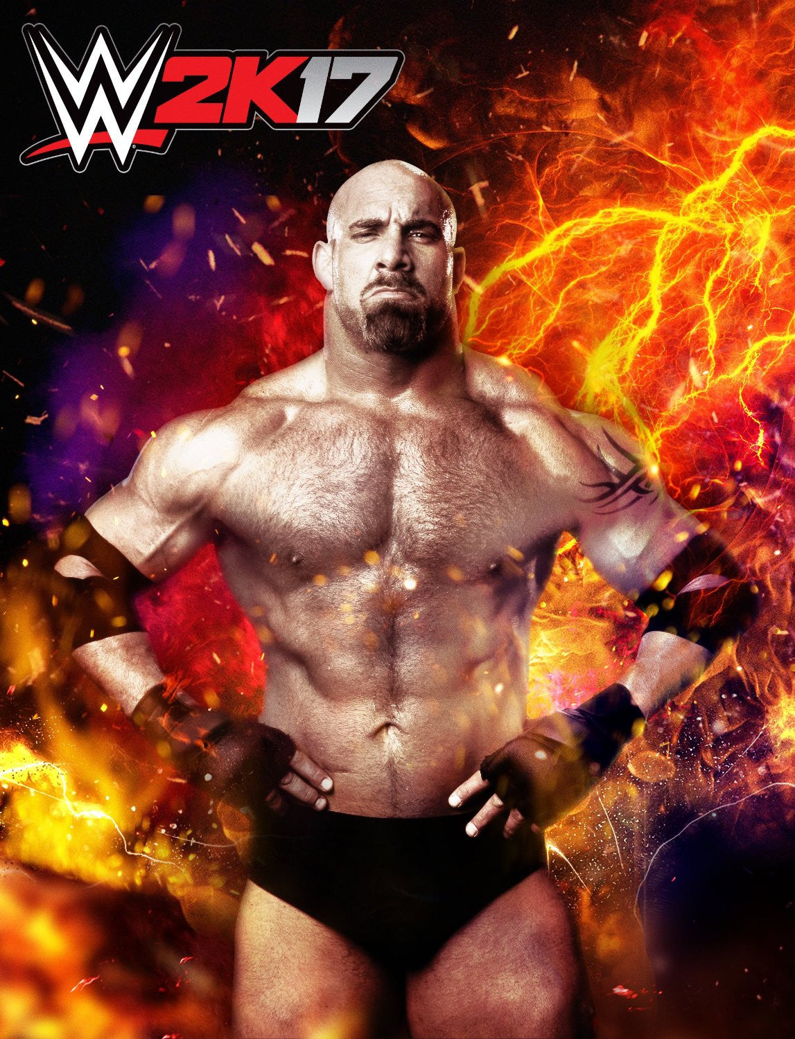 WWE 2K17 - PS3 - Video Games by 2K Games The Chelsea Gamer