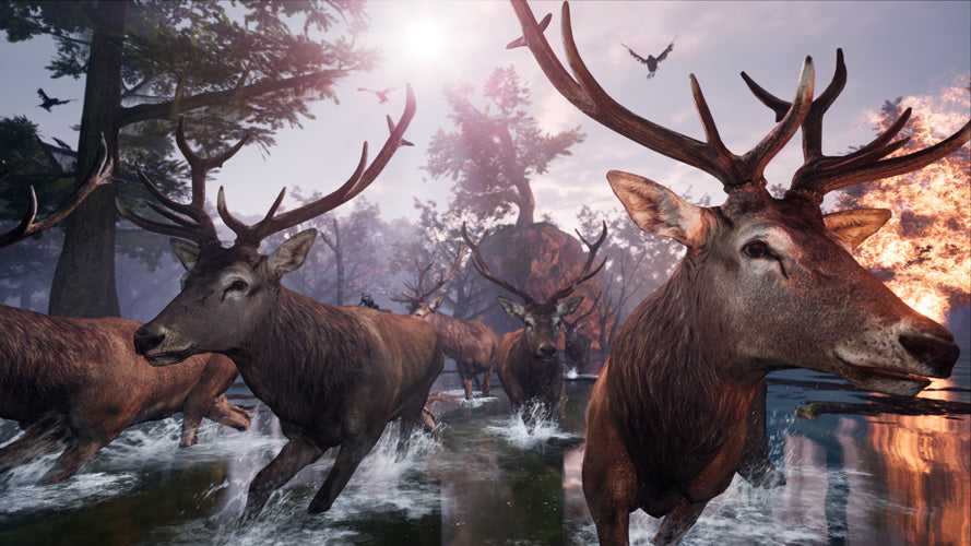 Away: The Survival Series - PlayStation 5 - Video Games by Perpetual Europe The Chelsea Gamer