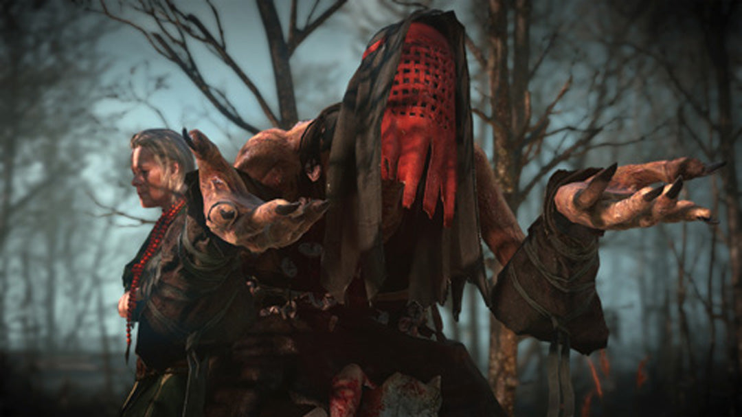 The Witcher III: Wild Hunt - PlayStation 4 - Video Games by Bandai Namco Entertainment The Chelsea Gamer