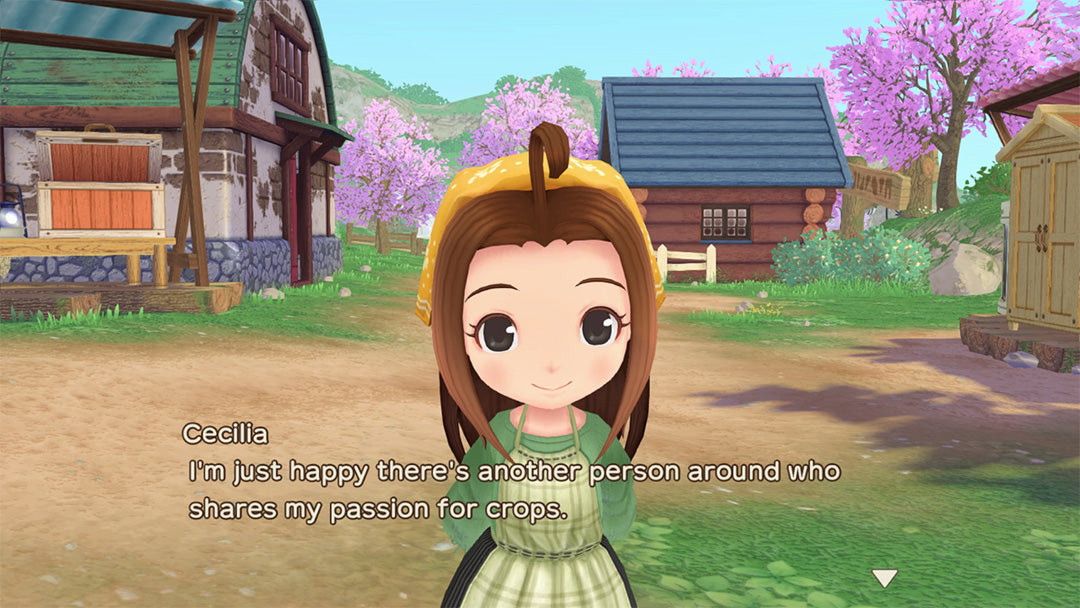 Story of Seasons: A Wonderful Life - Nintendo Switch - Video Games by U&I The Chelsea Gamer