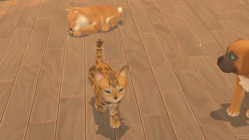 My Universe: Pet Edition + Travel Case Bundle - Video Games by Maximum Games Ltd (UK Stock Account) The Chelsea Gamer