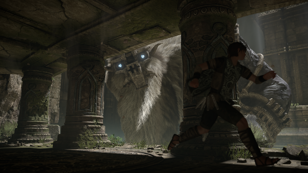 Shadow of Colossus - PS4 - Video Games by Sony The Chelsea Gamer
