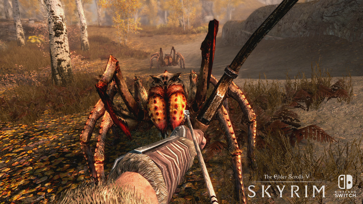 The Elder Scrolls - Skyrim - Nintendo Switch - Video Games by Nintendo The Chelsea Gamer