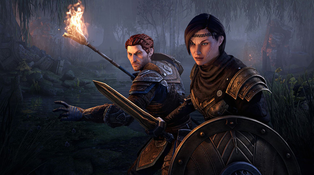 Elder Scrolls Online Collection: Blackwood - PC - Video Games by Bethesda The Chelsea Gamer