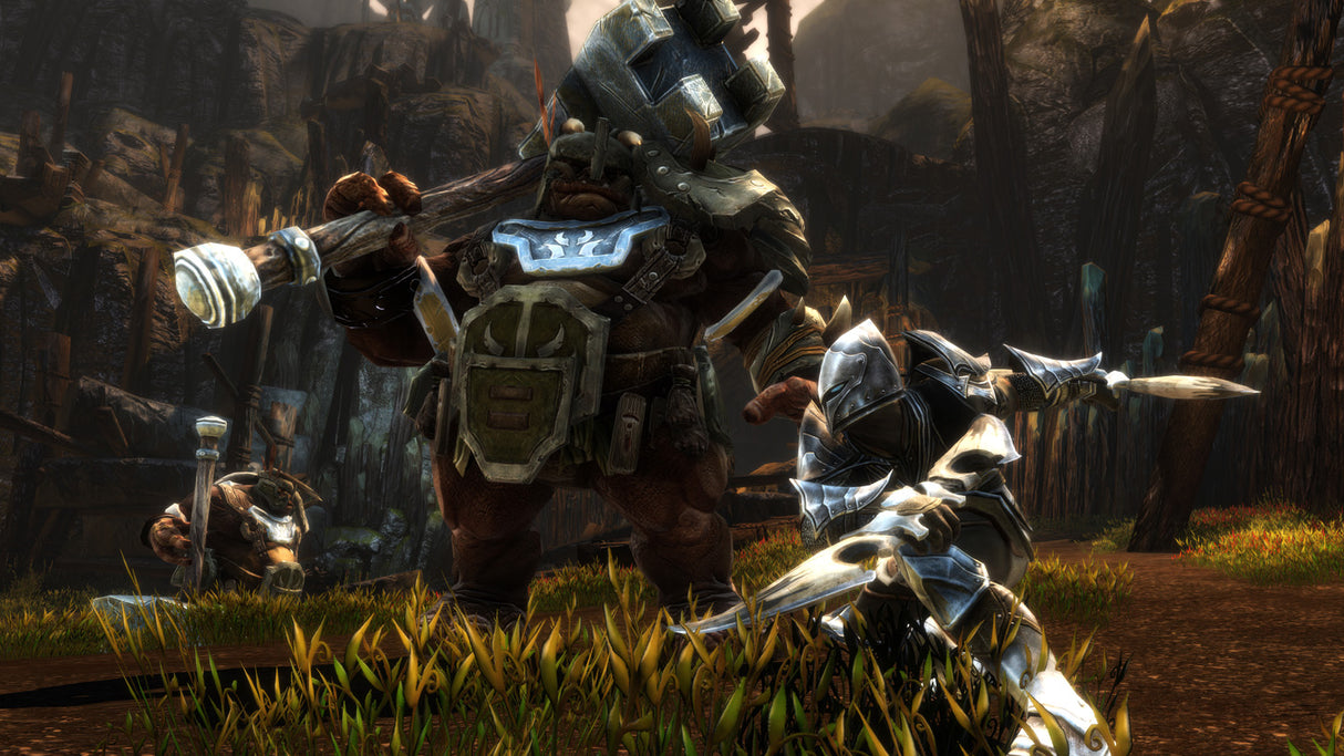 Kingdom of Amalur Reckoning HD - Video Games by Nordic Games The Chelsea Gamer