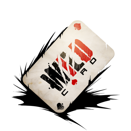 Studio Wildcard