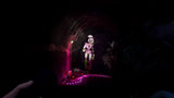 Five Nights at Freddy's: Security Breach - Nintendo Switch - Video Games by Maximum Games Ltd (UK Stock Account) The Chelsea Gamer
