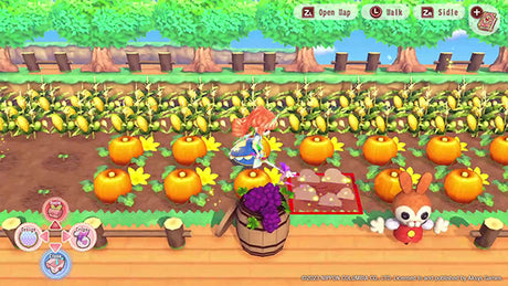 Pretty Princess Magical Garden Island - Nintendo Switch - Video Games by Numskull Games The Chelsea Gamer