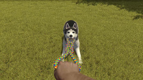 House Flipper:  Pets Edition - Nintendo Switch - Video Games by Merge Games The Chelsea Gamer