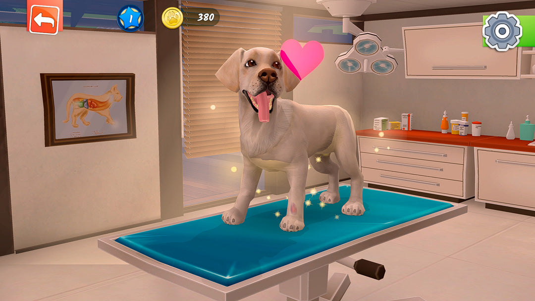 Animal Hospital - Xbox - Video Games by Maximum Games Ltd (UK Stock Account) The Chelsea Gamer