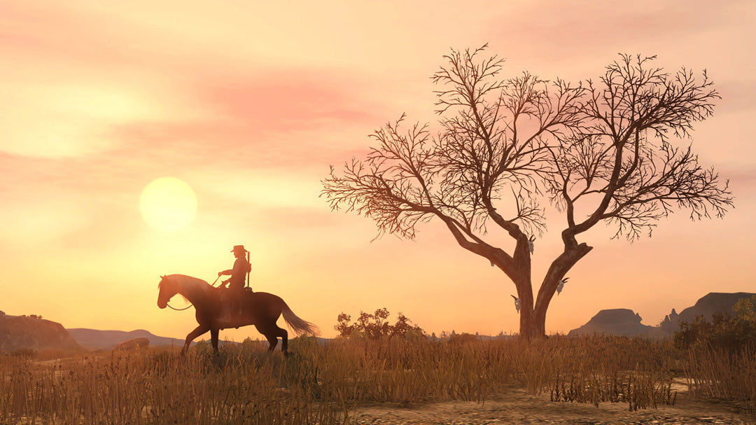 Red Dead Redemption - PlayStation 4 - Video Games by Take 2 The Chelsea Gamer