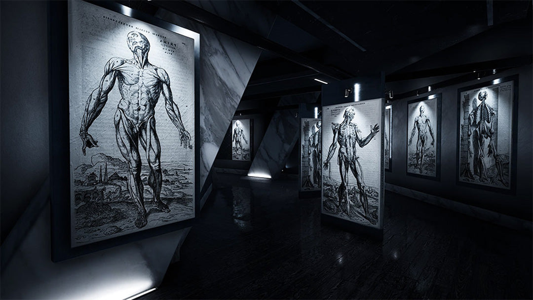 Trepang² - Xbox Series X - Video Games by Fireshine Games The Chelsea Gamer