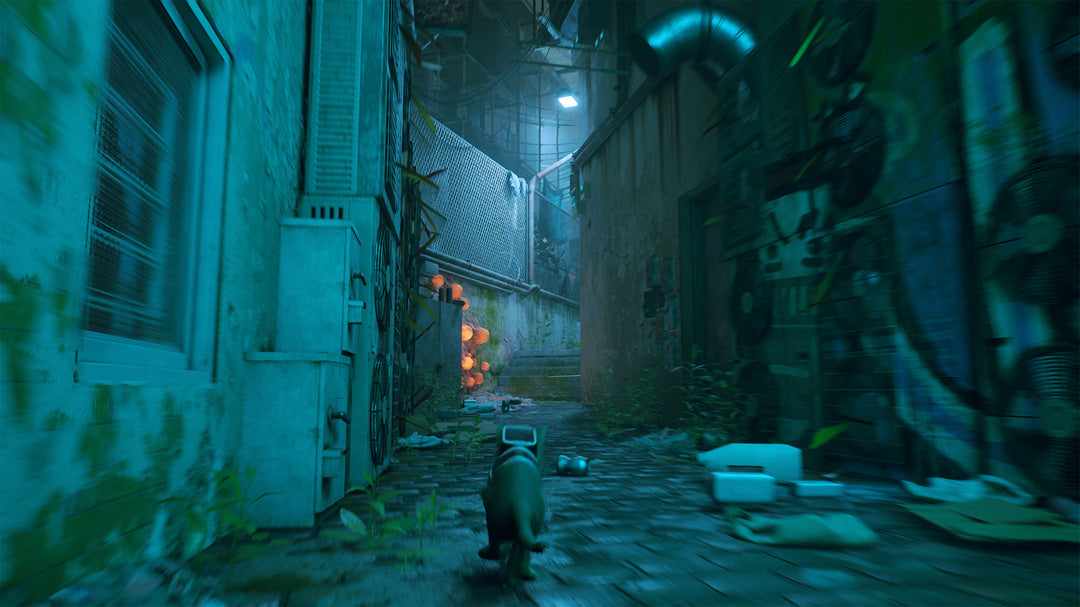 Stray - Xbox - Video Games by Skybound Games The Chelsea Gamer