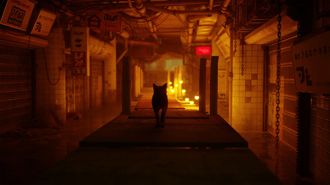 Stray - Xbox - Video Games by Skybound Games The Chelsea Gamer