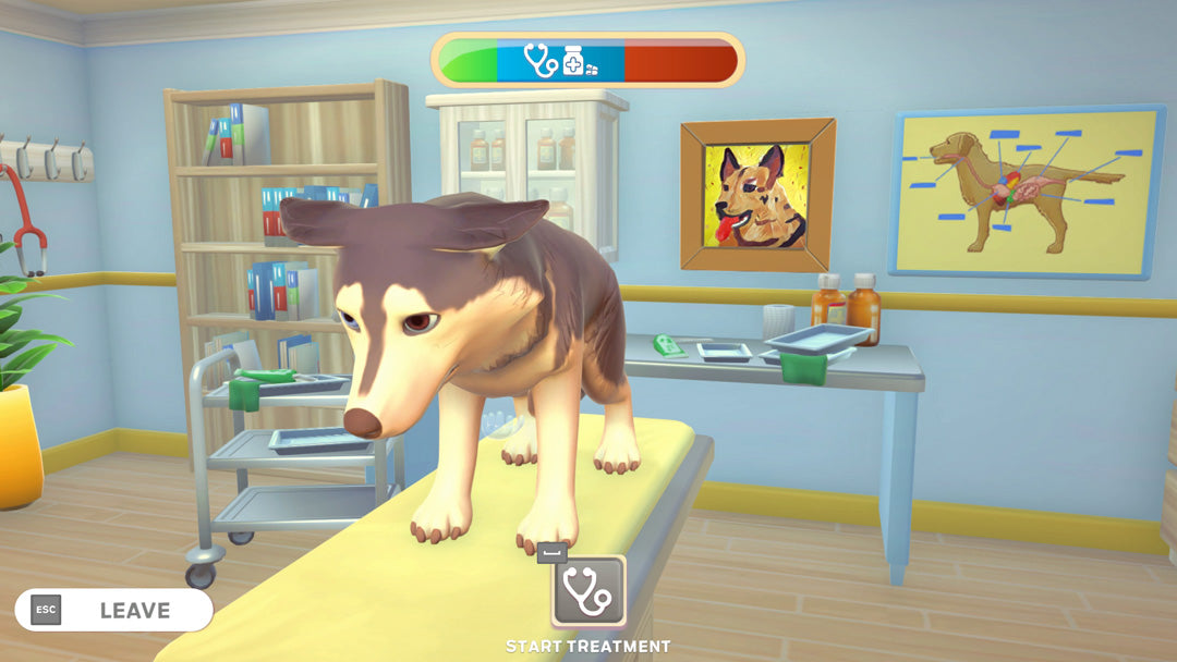 My Universe: Pet Clinic - Cats & Dogs - Nintendo Switch - Code In A Box - Video Games by Maximum Games Ltd (UK Stock Account) The Chelsea Gamer