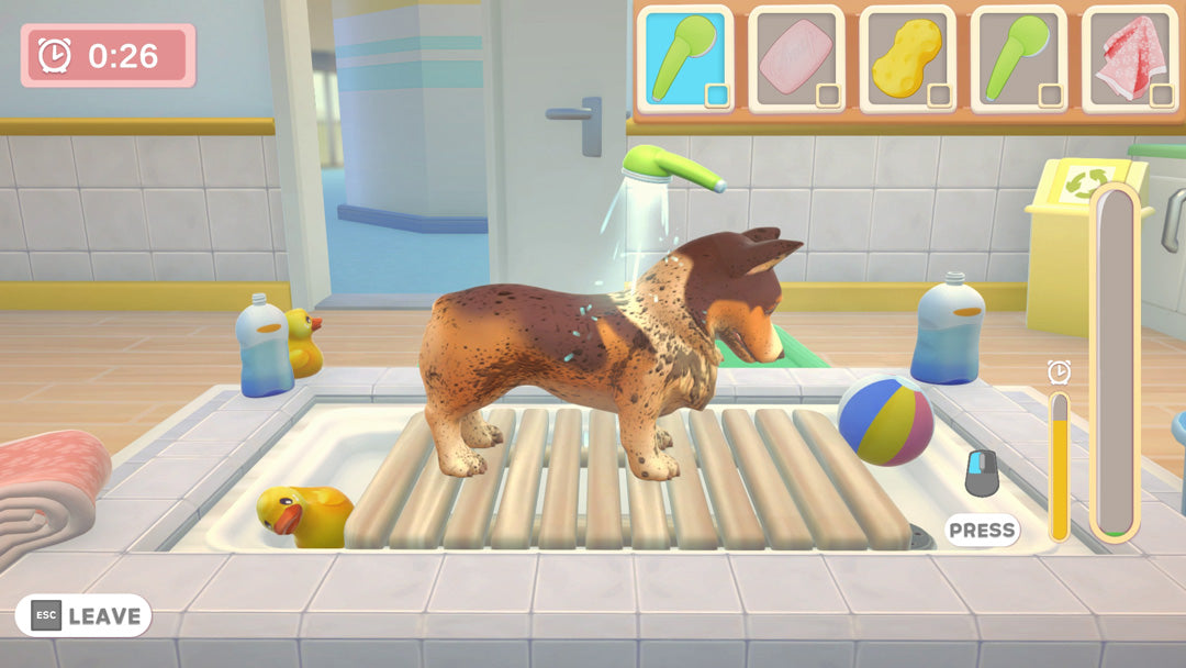 My Universe: Pet Clinic - Cats & Dogs - Nintendo Switch - Code In A Box - Video Games by Maximum Games Ltd (UK Stock Account) The Chelsea Gamer