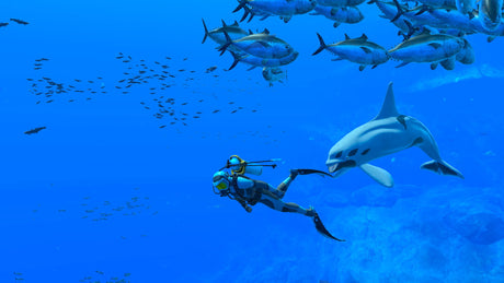 Endless Ocean: Luminous - Nintendo Switch - Video Games by Nintendo The Chelsea Gamer