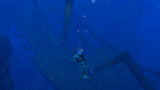 Endless Ocean: Luminous - Nintendo Switch - Video Games by Nintendo The Chelsea Gamer