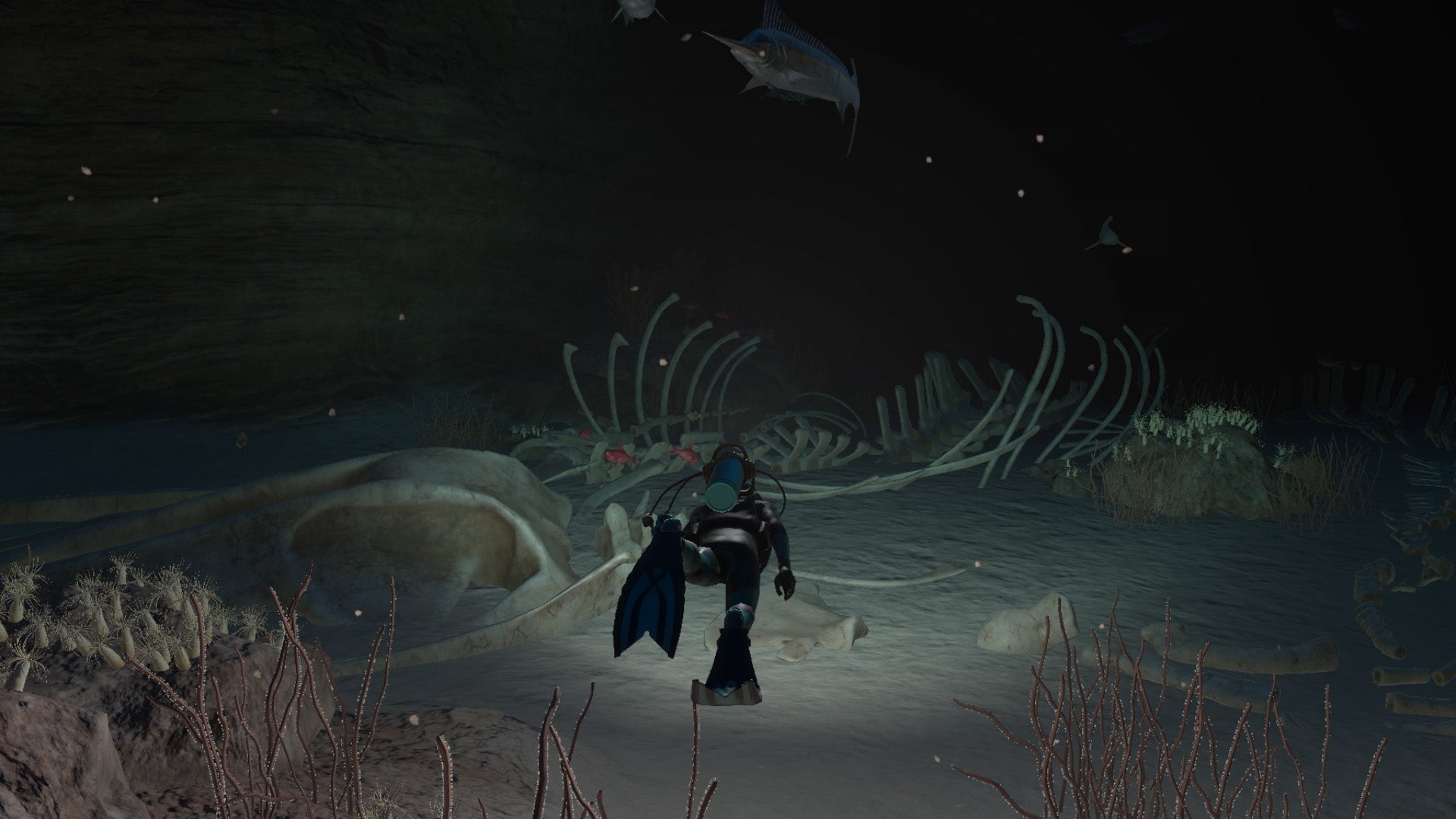 Endless Ocean: Luminous - Nintendo Switch - Video Games by Nintendo The Chelsea Gamer