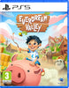 Everdream Valley - PlayStation 5 - Video Games by U&I The Chelsea Gamer