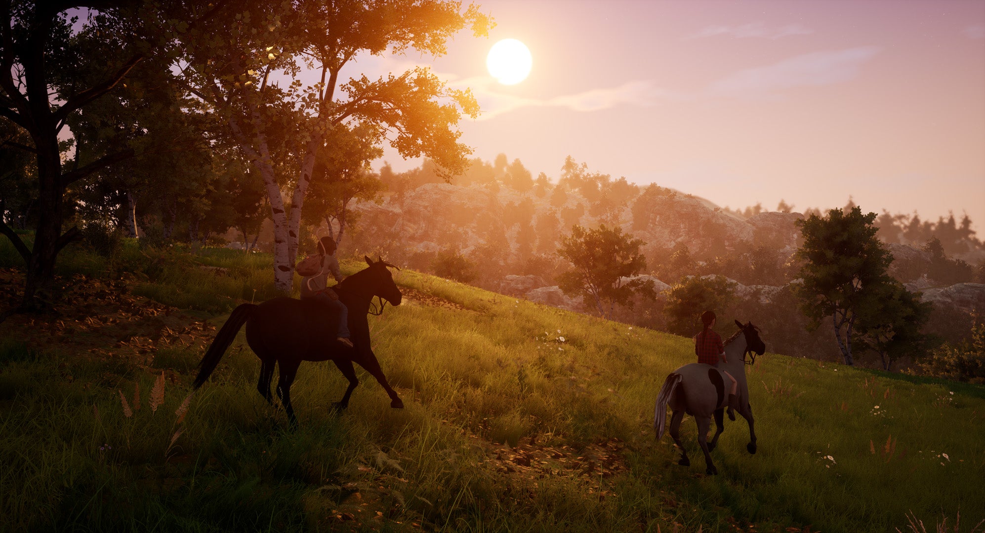 Windstorm: An Unexpected Arrival - Nintendo Switch - Code In A Box - Video Games by Mindscape The Chelsea Gamer