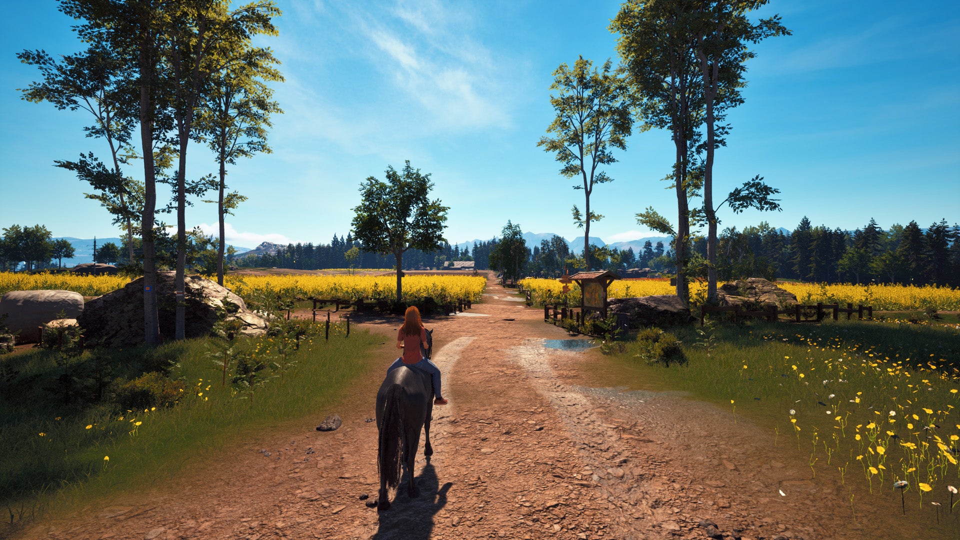 Windstorm: Start of a Great Friendship Remastered - PlayStation 5 - Video Games by Mindscape The Chelsea Gamer