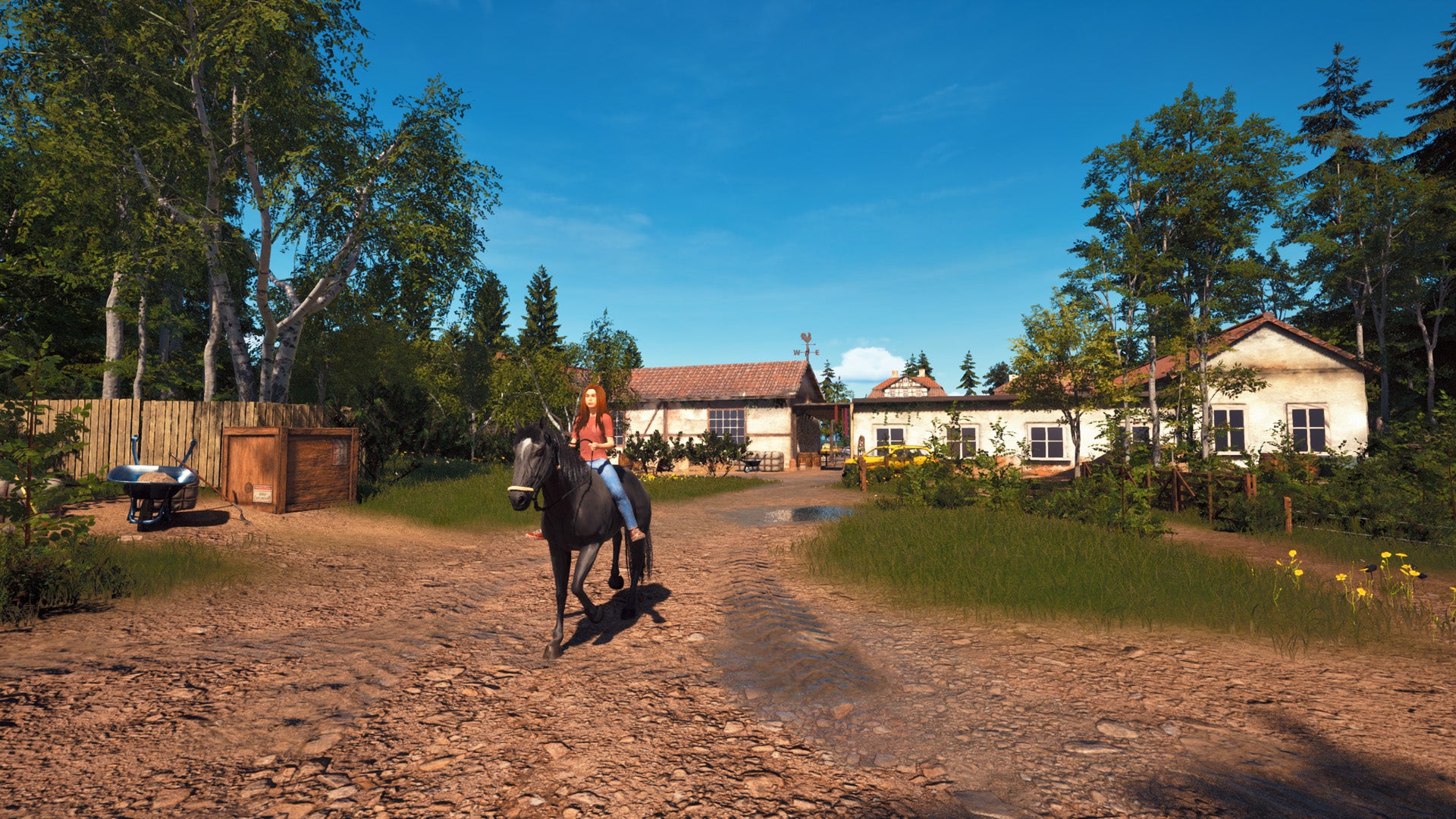 Windstorm: Start of a Great Friendship Remastered - PlayStation 5 - Video Games by Mindscape The Chelsea Gamer